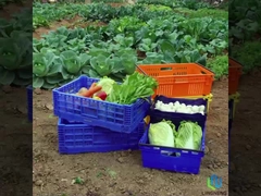 27L lichtgewicht opvouwbaar krat doos groenten fruit omzet mesh krat met handvaten